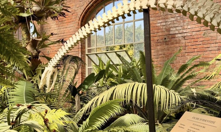 Embarquez pour un voyage du Big Bang à l&rsquo;Homme au Jardin Botanique