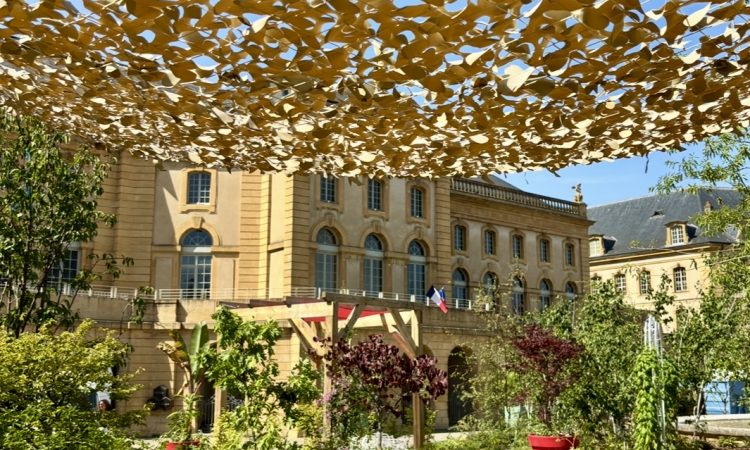 Émotions en fleurs : le jardin éphémère 2025