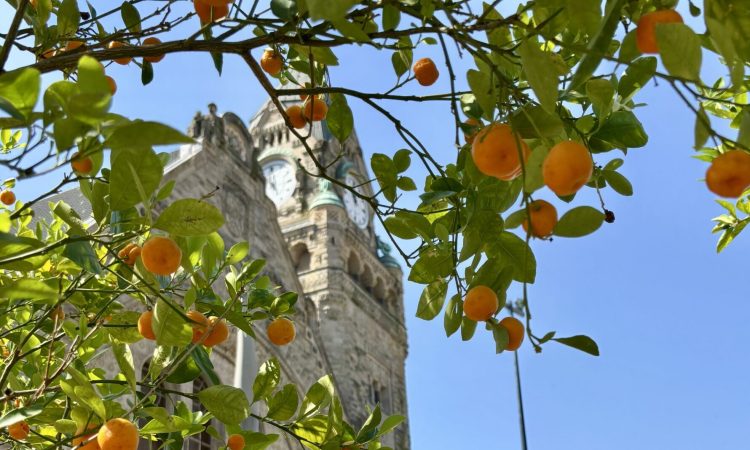 Le Jardin Éphémère fait son retour… devant la gare de Metz