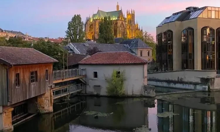 Metz Escapade